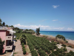 Memi View B1